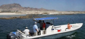Pesca nelle Isole del Sud Oman, Mare Arabico, famose per la pesca da Big Game. Foto della barca per al pesca, popping, jigging al G.T. ed altri pesci da record.